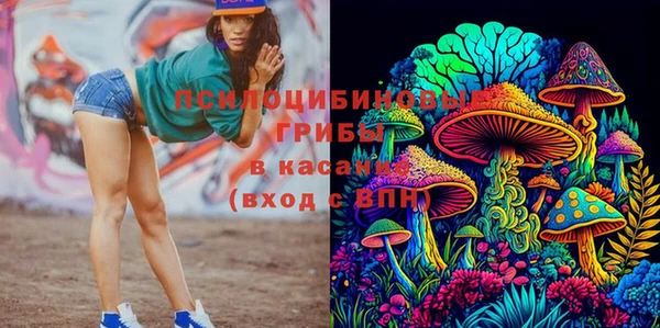 мяу мяу мука Алзамай