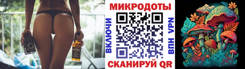 OMG как войти  Сочи  Галлюциногенные грибы прущие грибы 